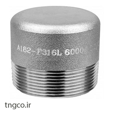 درپوش فورج دنده استنلس استیل 316  کلاس 6000 PLUG FORGED  A182 F316L  SCRD 6000#
