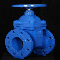 شیر فلکه کشویی زبانه لاستیکی PN16 شیرود