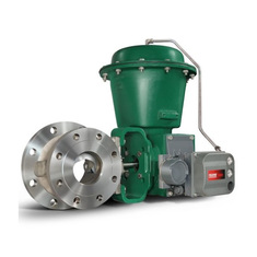 بال ولو فشیر (شیر توپی فیشر)