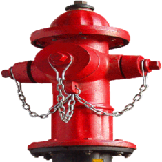 شیر آتش نشانی ایستاده وگ امید گلستان