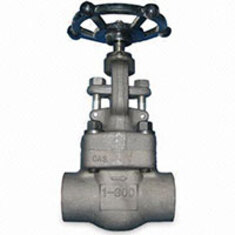 گلوب ولو استنلس استیل دنده كلاس 800 GLOBE VALVE #800 STAINLESS STEEL NPT
